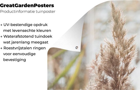Affiche de jardin - Pampa - Plante de jardin d'herbe de pampa - Plante - Nature - Rose - 80x160 cm - Affiche de clôture - Jardin - Décoration murale - Décoration de jardin - Toile de jardin - Affiche d'extérieur