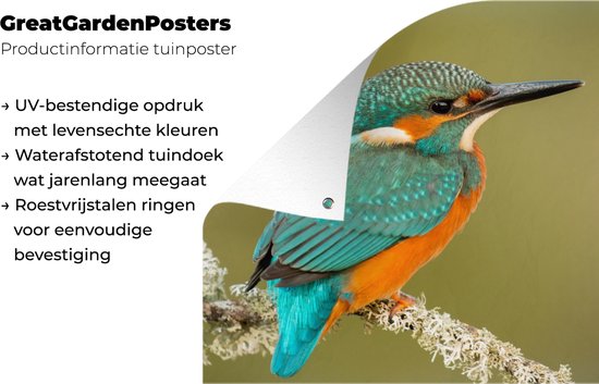 Tuinposter 80x60 cm - Tuindecoratie IJsvogel - Dieren - Vogel - Poster voor in de tuin - Buiten decoratie - Schutting tuinschilderij - Tuindoek muurdecoratie - Wanddecoratie balkondoek