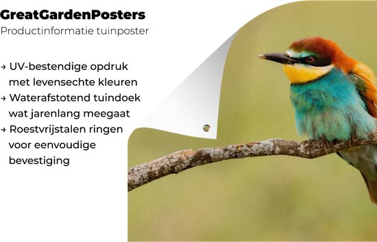 Affiche de Jardin Vogel - Guêpier - Animaux - 60x40 - Toile jardin - Affiche extérieure