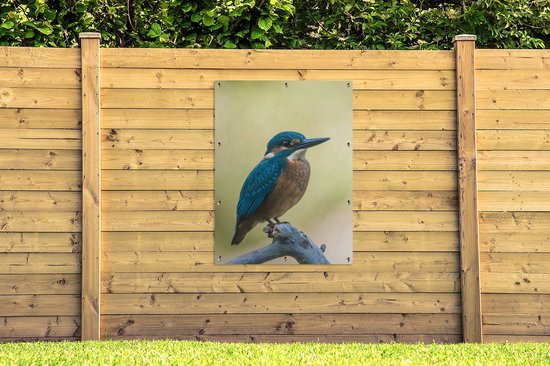 Affiche de Jardin Martin-pêcheur - Branche - Vogel - 200x200 cm - Toile de jardin