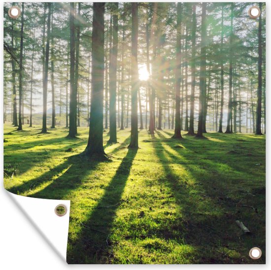 Tuinposter - Natuur - Tuinposter bos - Bomen - Bos - Bladeren - 200x200 cm - Schuttingposter - Tuinschilderij - Tuindecoratie - Tuindoek - Buitenposter