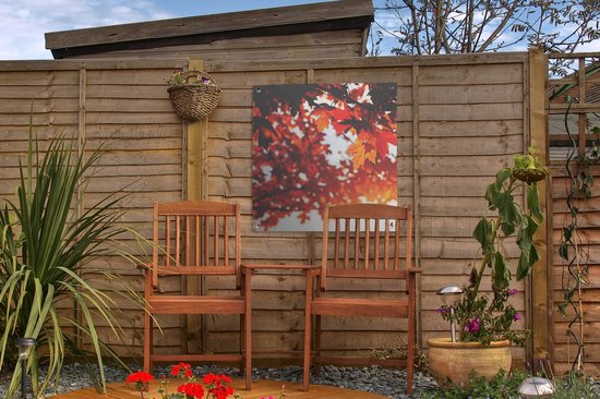 Affiche de jardin - Automne - Feuilles - Oranje - Branche - 50x50 cm - Peinture de jardin - Toile de clôture - Toile de jardin