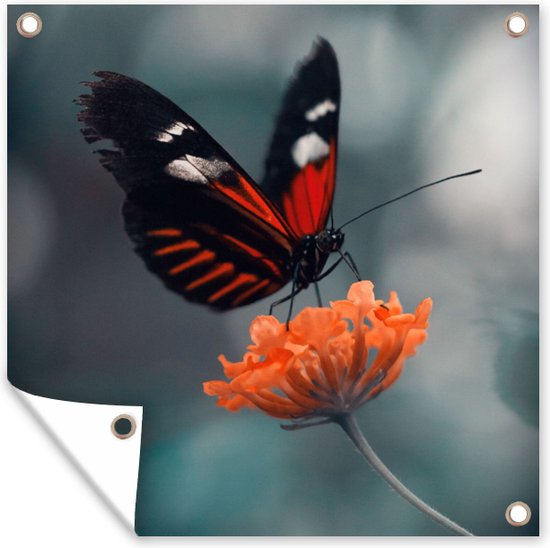 Tuinposter - Vlinder - Bloem - Natuur - Tuindoek - 200x200 cm - Tuinposter vlinder
