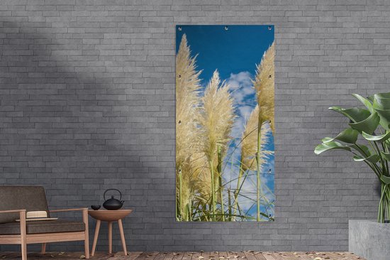 Affiche jardin - Pampa - Panaches d'herbe de pampa - Plante - Ciel - Blauw - 100x200 cm - Posters de jardin jardin - Jardin - Décoration murale - Décoration Décoration de jardin - Toile jardin - Affiche extérieure