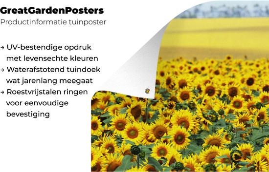 Tuinposter - Bloemen - Zonnebloemen - Tuindecoratie - Bloemenveld - 120x180 cm - Tuinschilderij - Tuindoek