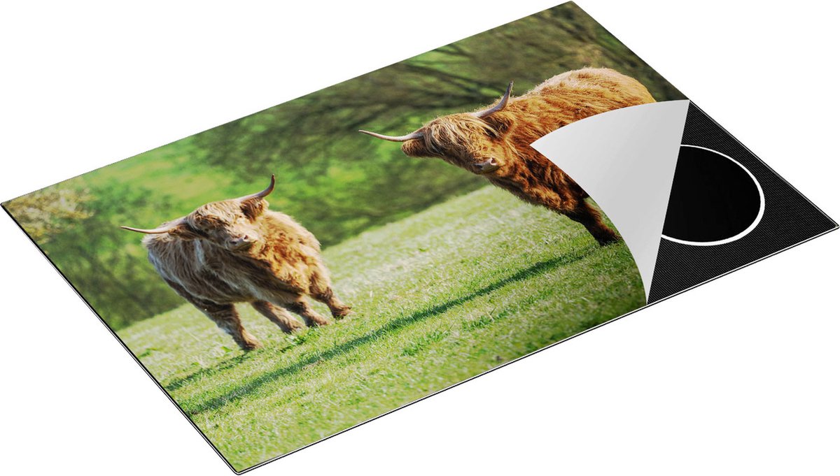 Chefcare Inductie Beschermer Twee Schotse Hooglanders op het Gras - 81,2x52 cm - Afdekplaat Inductie - Kookplaat Beschermer - Inductie Mat