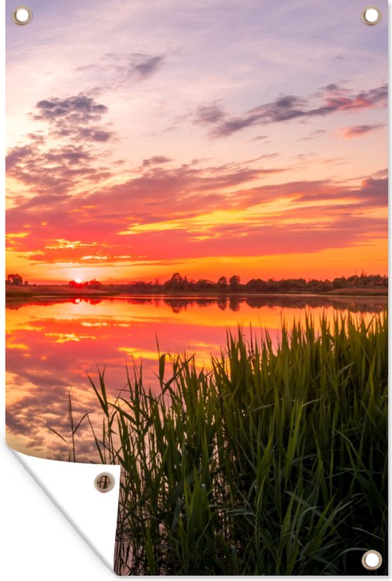 Tuinposter - Boom - Herfst - Natuur - Gras - Bladeren - Tuindecoratie - 40x60 cm - Tuindoek