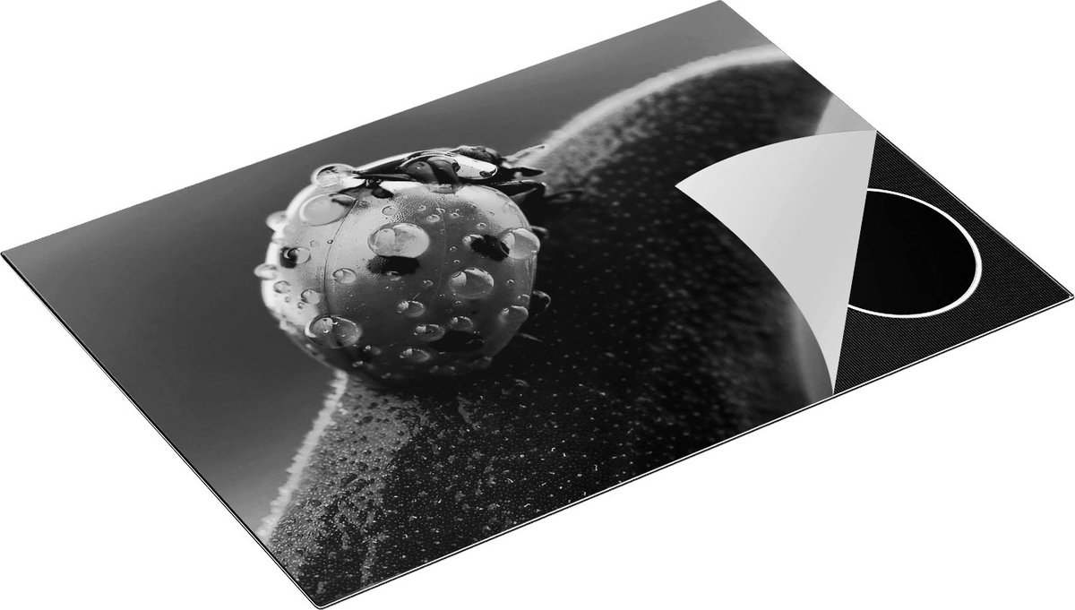 Chefcare Inductie Beschermer Lieveheersbeestje op een Blad met Waterdruppels - Zwart Wit - 75x55 cm - Afdekplaat Inductie - Kookplaat Beschermer - Inductie Mat