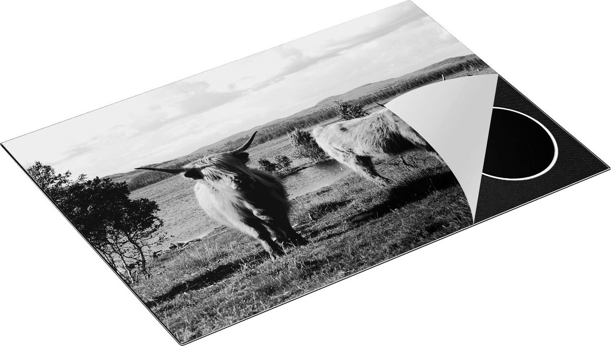 Chefcare Inductie Beschermer Twee Schotse Hooglanders bij het Water - Zwart Wit - 75x55 cm - Afdekplaat Inductie - Kookplaat Beschermer - Inductie Mat