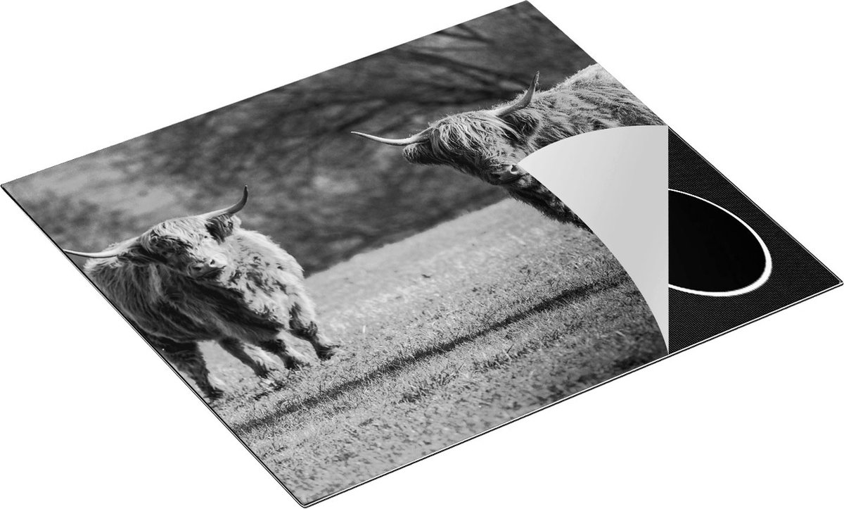 Chefcare Inductie Beschermer Twee Schotse Hooglanders op het Gras - Zwart Wit - 59x51 cm - Afdekplaat Inductie - Kookplaat Beschermer - Inductie Mat