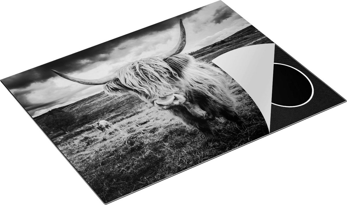 Chefcare Inductie Beschermer Schotse Hooglanders in de Weide met Wolken - Zwart Wit - 77x59 cm - Afdekplaat Inductie - Kookplaat Beschermer - Inductie Mat