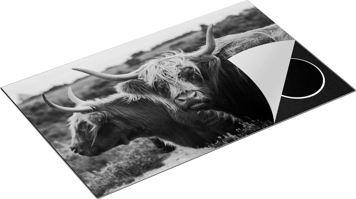 Chefcare Inductie Beschermer Twee Schotse Hooglander Koeien - Zwart Wit - 85x52 cm - Afdekplaat Inductie - Kookplaat Beschermer - Inductie Mat
