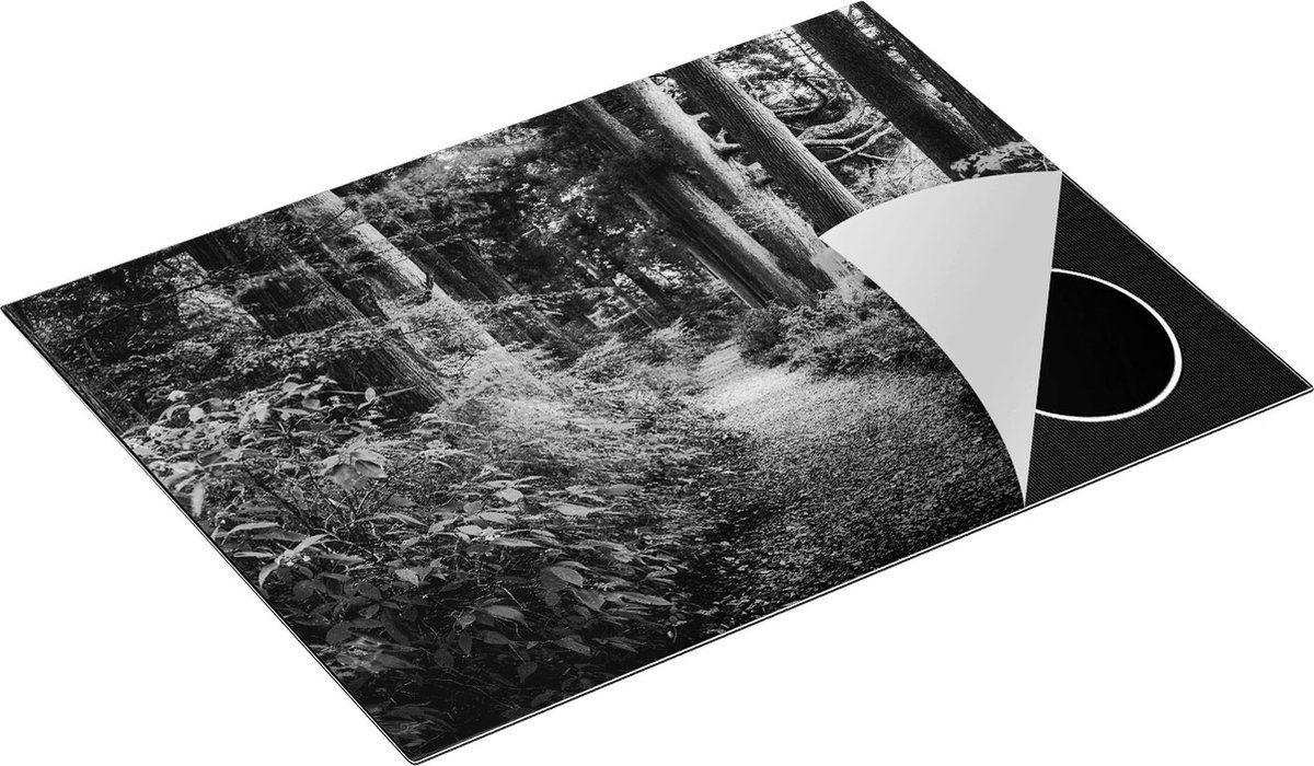 KitchyMist Inductie Beschermer Voetpad in het Bos - Zwart Wit - 70x52 cm - Afdekplaat Inductie - Kookplaat Beschermer - Inductie Mat