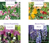 Cactula klimbloemen zaden set van 4 soorten | Lathyrus Unwin's Striped | Tropaeolum Jewel | Purple Bells | Blauwe Regen