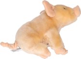 Pluche knuffel varken 18 cm - Boerderij dieren speelgoed varkens