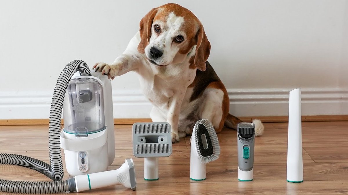 Tondeuse pour chien Neabot P1 Pro avec aspirateur pour poils d'animaux