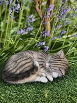 Slapende kat donker grijs gestreept S1 10 cm hoog - poes - polyester - polystone - beeld - tuinbeeld - hoogkwalitatieve kunststof - decoratiefiguur - interieur - accessoire - voor binnen - voor buiten - cadeau - geschenk