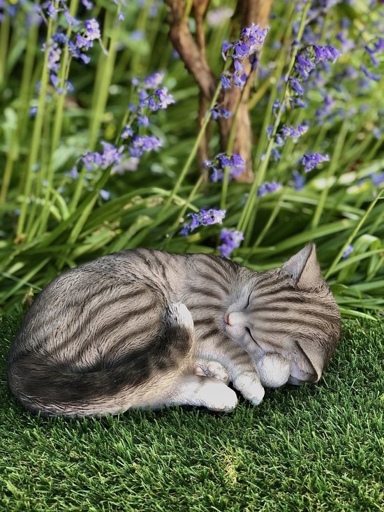 Chat tigré gris dormant, couché sur l'herbe avec des fleurs bleues en arrière-plan.