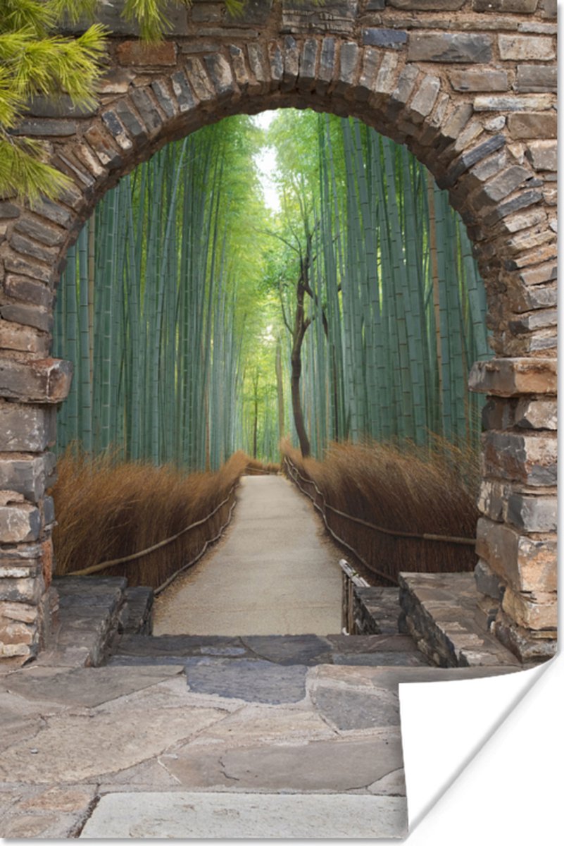 Poster Bamboe - Japans - Doorkijk - Bos - 40x60 cm
