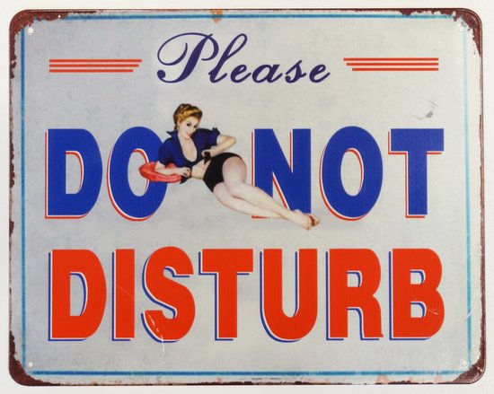 2D wandbord "Do not Disturb" 20x25cm