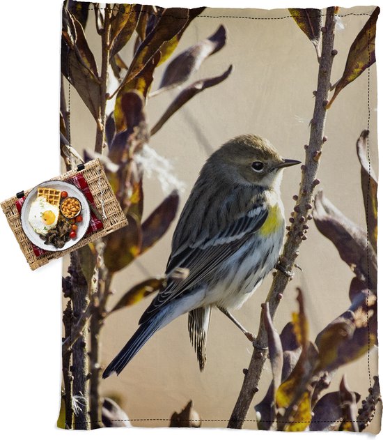 Waterdicht Picknickkleed – Geschikt als Strandlaken / Strandmat – Vogel tussen een tak met bladeren – 150×200 cm – Vloerkleed buiten – Buitenkleed…