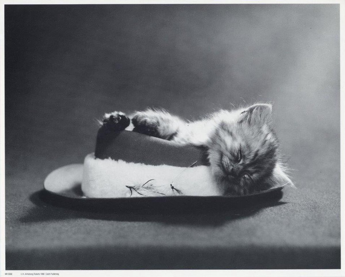 Catch Projecten Mini zwart-wit poster - Little Kitten - H. Armstrong Roberts - 24x30 cm