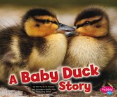 Baby Animals - A Baby Duck Story