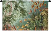 Wandkleed - Wanddoek - Oude meesters - Kunst - Muscinae - Haeckel - 180x120 cm - Wandtapijt
