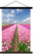 Porte-affiche avec affiche - Affiche scolaire - Tulipes - Soleil - Printemps - 40x60 cm - Lattes noires