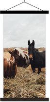 Porte-affiche avec affiche - Affiche scolaire - Animaux - Cheval - Paarden - 40x80 cm - Lattes noires