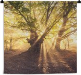 Wandkleed - Wanddoek - Boom - Bos - Zon - 60x60 cm - Wandtapijt