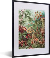 Fotolijst incl. Poster - Bloemen - Kunst - Vintage - Natuur - Botanisch - 30x40 cm - Posterlijst