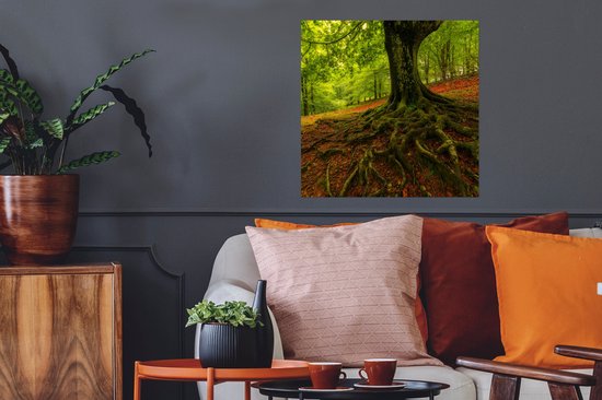 Poster Arbre - Forêt - Feuilles d'Automne - 50x50 cm