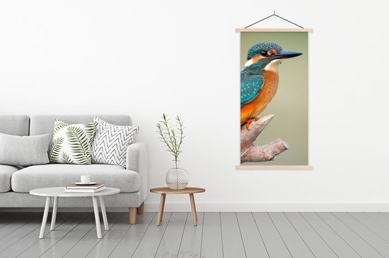 Porte-affiche avec affiche - Affiche scolaire - Vogel - Martin-pêcheur - Branche - 90x180 cm - lattes vierges