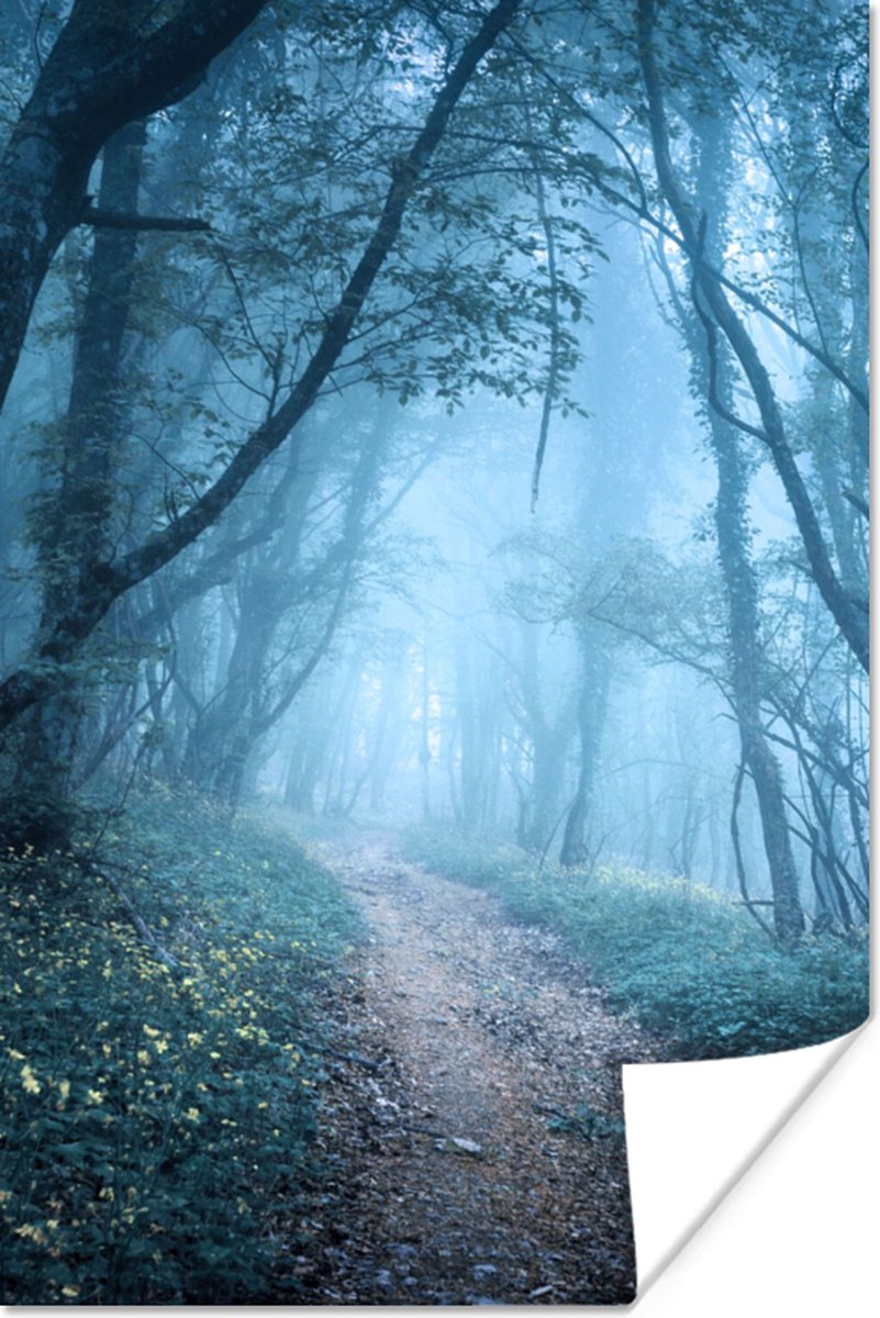 Poster Bomen - Natuur - Mist - 20x30 cm