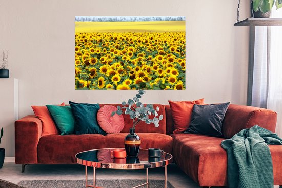 Poster Tournesol - Fleurs - Nature - 120x90 cm