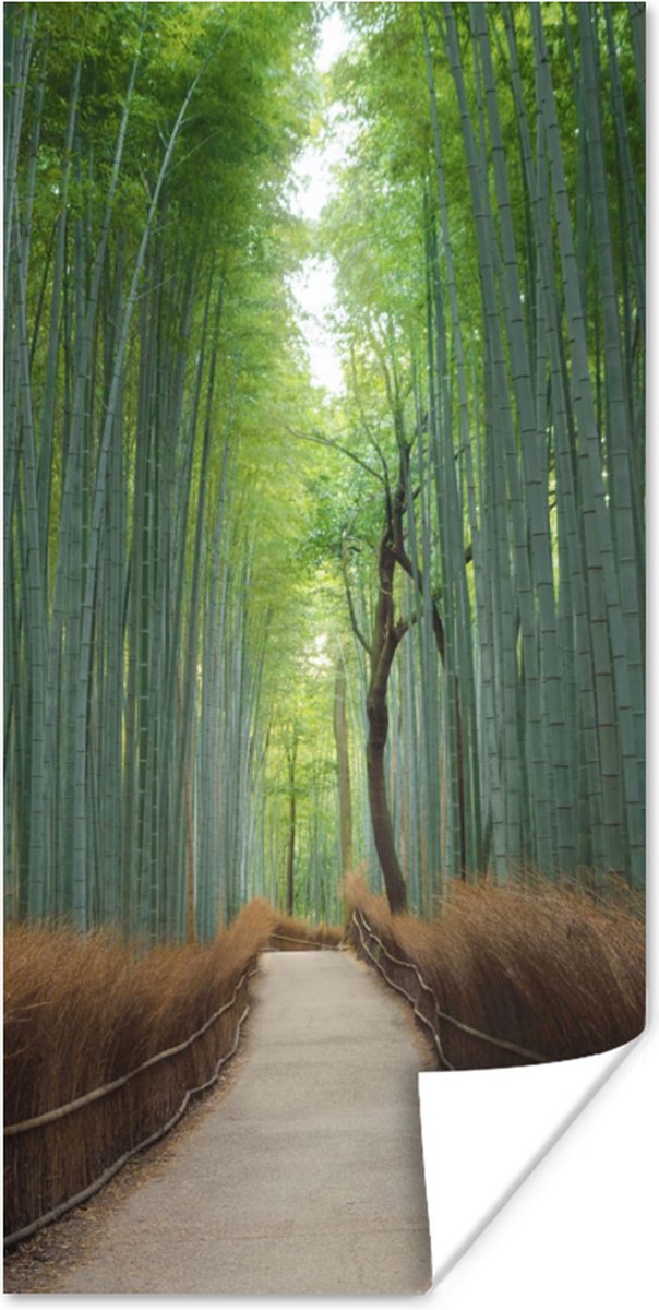 Poster Bamboe - Pad - Bos - 60x120 cm