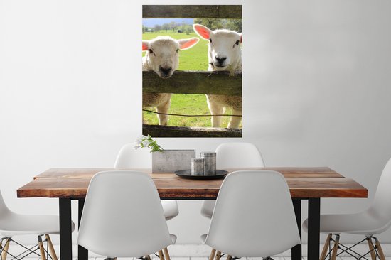 Affiche Mouton - Animaux - Ferme - 60x80 cm