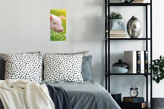 Poster Animaux - Porcinet - Cochon - 20x40 cm
