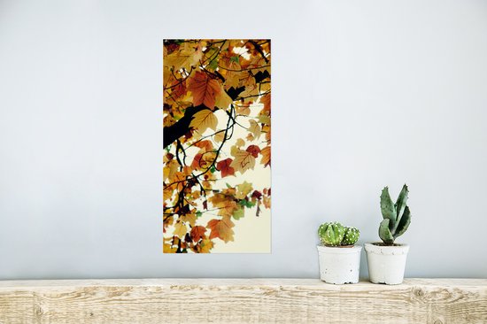 Poster Arbres - Feuilles d'Automne - Nature - 20x40 cm
