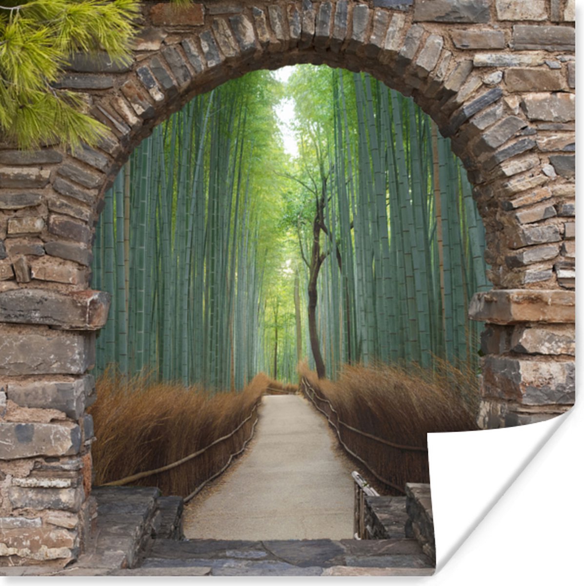 Poster Bamboe - Japans - Doorkijk - Bos - 50x50 cm