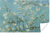 Poster Van Gogh - Amandelbloesem - Oude meesters - Kunst - Vintage - 60x40 cm