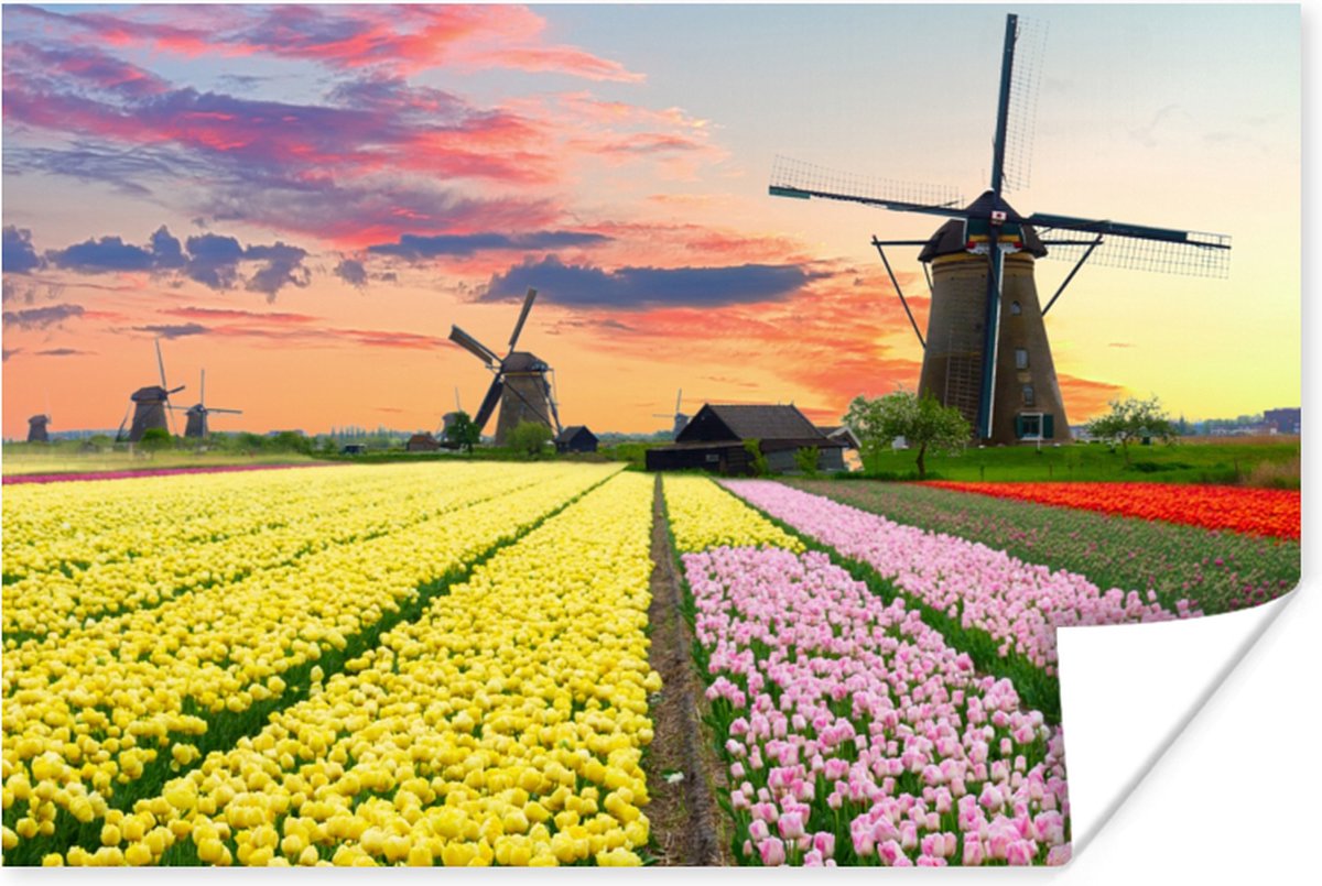 Poster Tulpen - Windmolen - Natuur - 30x20 cm