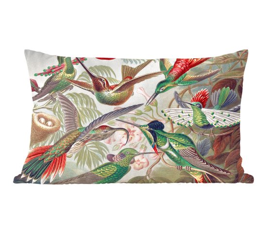 Kolibrie print antiek, kolibrie kunst, kolibri print, kunst aan de