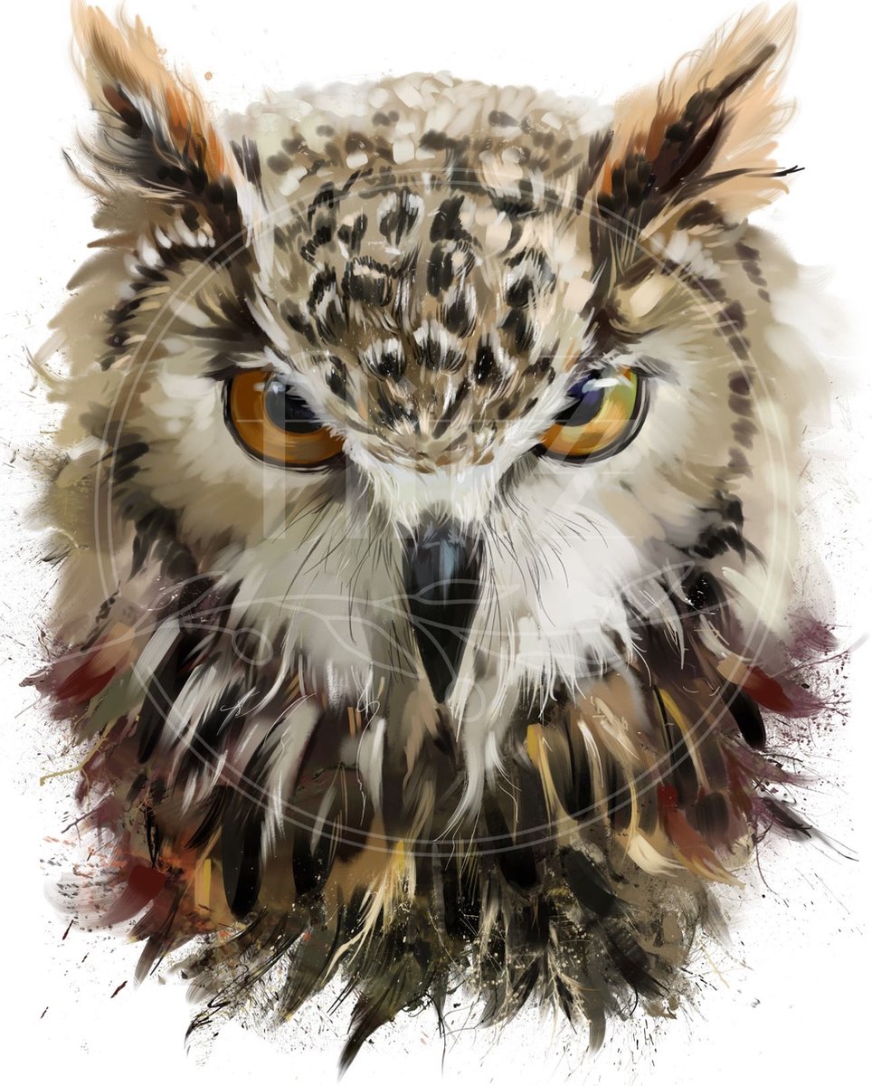 100% Nederlandse Productie! │ Flitzz Diamond Painting │ Aquarel Uil 02│ Formaat 40 x 50 cm │ Diamond Painting Pakket Volwassen │ Volledige bedekking │ Vierkant │ Full │ 63 kleuren