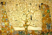 Gustav Klimt - The Tree of Life (1905), Levensboom Canvas Print