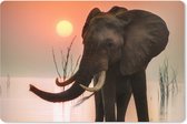 Muismat XXL - Bureau onderlegger - Bureau mat - Olifant - Dieren - Water - Zonsondergang - 120x80 cm - XXL muismat