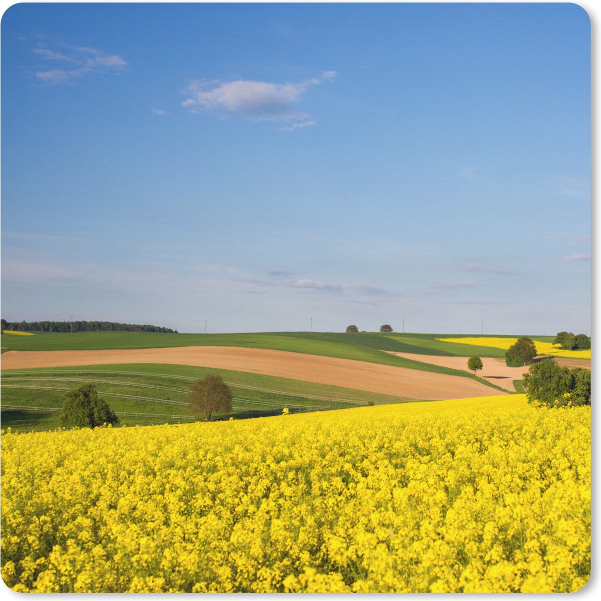 Muismat XXL 40x40 cm - Bureau onderlegger - Bureau mat Lente - Bloemen - Geel - Bureaumat - Gaming mousepad xl - Bureaulegger groot - Computer deskmat