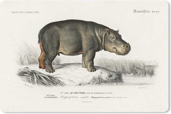 Muismat XXL 120x80 cm - Bureau onderlegger - Bureau mat Nijlpaard - Vintage - Landschap - Bureaumat - Gaming mousepad xl - Bureaulegger groot - Computer deskmat