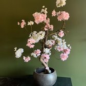 Seta Fiori - cerisier en fleurs - blanc/rose - 55cm -